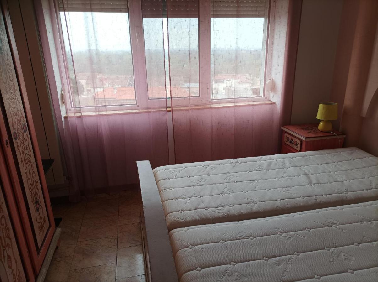 Ferienwohnung Libelula Arad Exterior foto